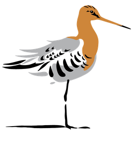 Logo Nationale vogel