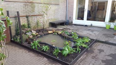 Vijver met planten / Hans Peeters