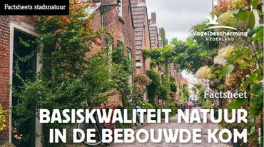 Factsheet Basiskwaliteit Natuur in de bebouwde kom