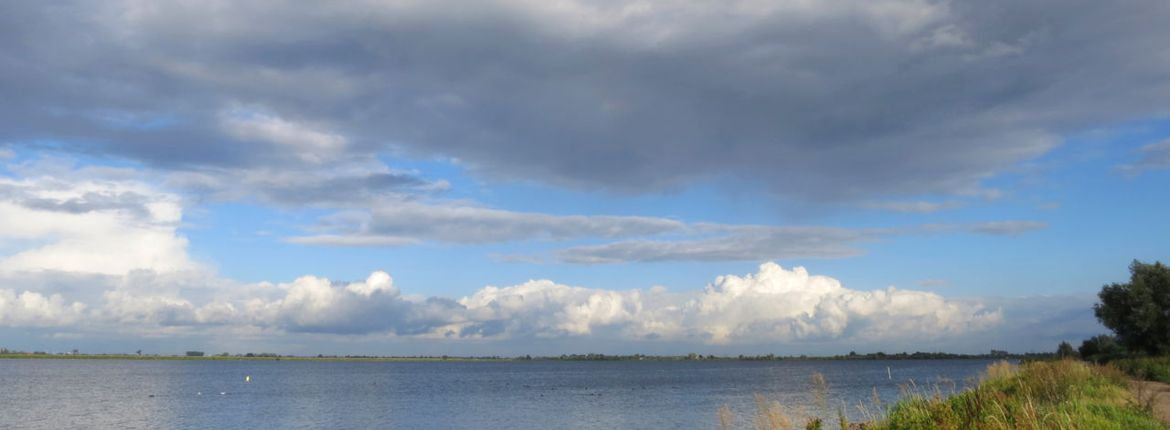 Reeuwijkse Plassen / Agami - Marc Guyt