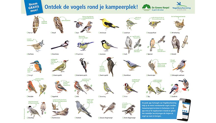 Vogelkaart Kampeerplek