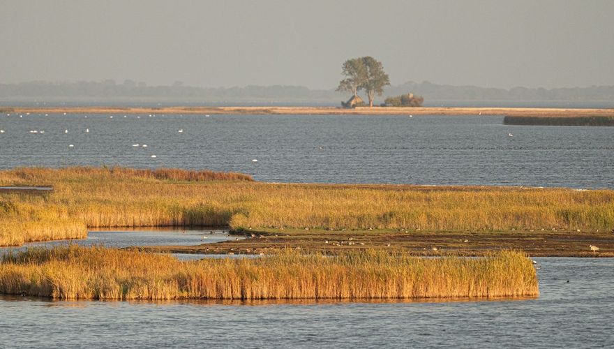 De Bodden / Hans Peeters