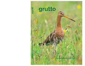 Cover boek Grutto