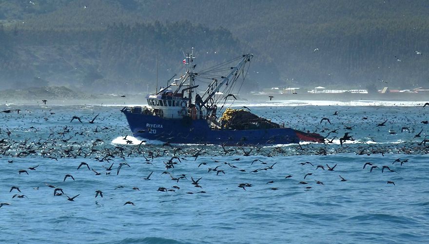 Purse seine visserij / Luis Cabezas