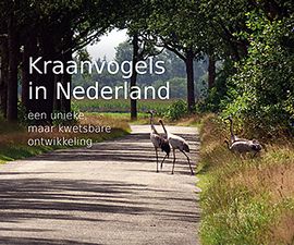 Cover boek Kraanvogels in Nederland