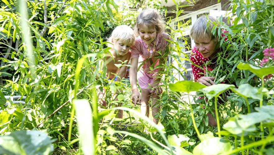 Groene tuin / Fred van Diem