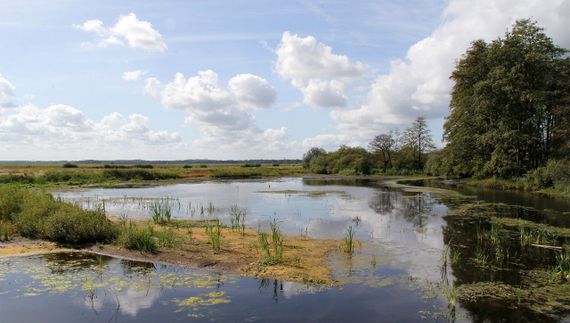 Tusschenwater hunzedal / Paulien Zomer Drentse Landschap