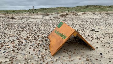 Kuikendakjes Verklikkerstrand / Wendy Janse