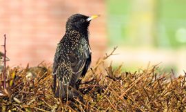 even lekker in het zonnetje zitten.