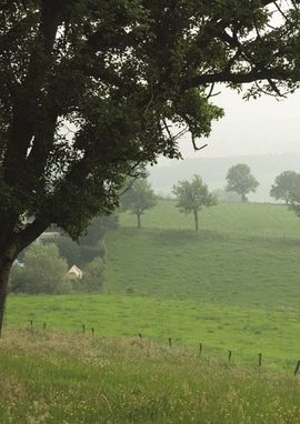 Basiskwaliteit natuur Limburg