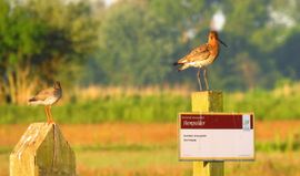 Beschermd...en bewaakt natuurgebied.