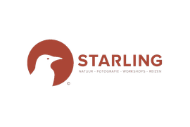 Logo Starling