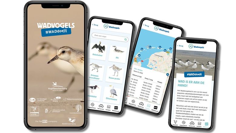 App Wadvogels