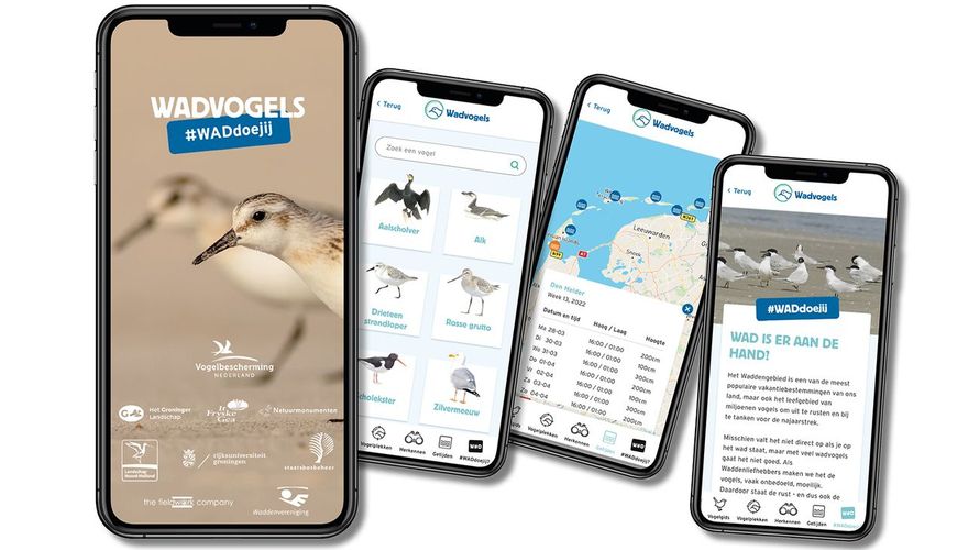 App Wadvogels