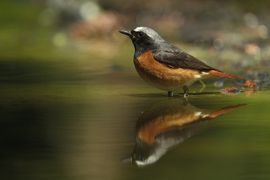 Even poseren voor de fotograaf.