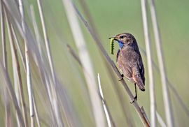 Daar kan je mee thuiskomen!