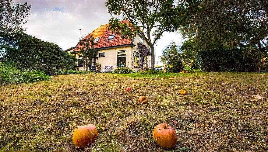 Autumn garden / Wil Leurs (Agami)