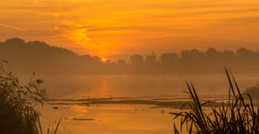 Biesbosch / Shutterstock