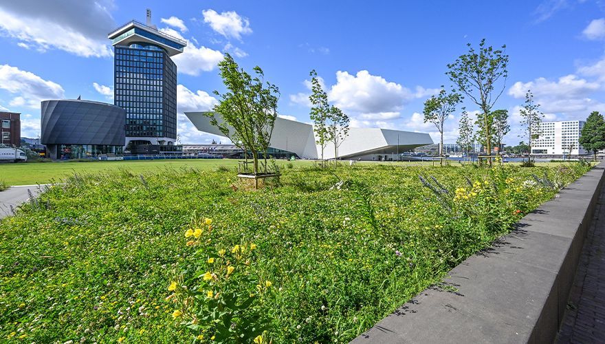Schegpark / Gemeente Amsterdam