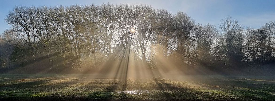Zonsopkomst aan de Tweemolentjes vaart bij de Delftse Hout / Meindert van Dijk