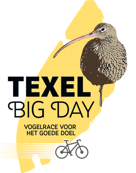 Logo Texel Big Day