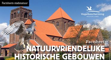 Factsheets stadsvogels Natuurvriendelijke Historische Gebouwen