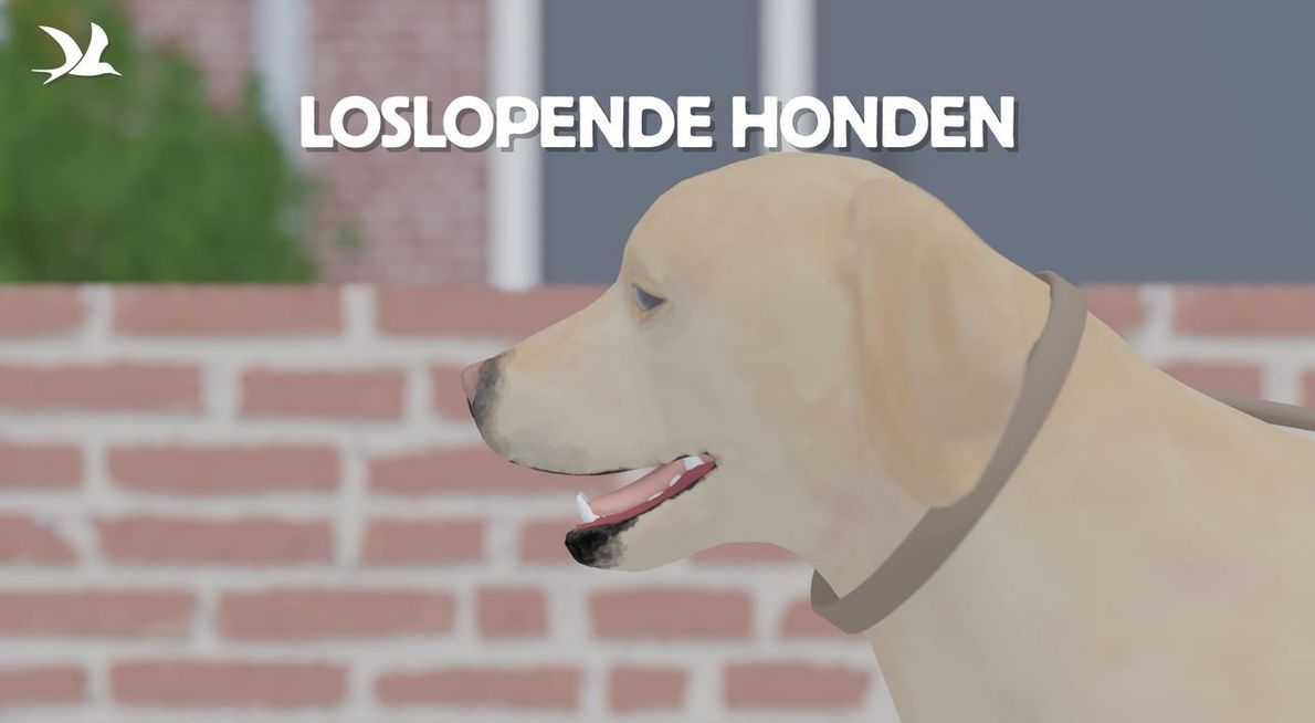 Videostill animatievideo loslopende honden