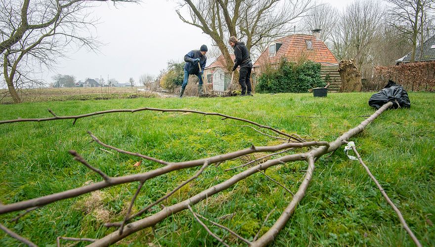 Hoogstamfruitboom planten / Marcel van Kammen