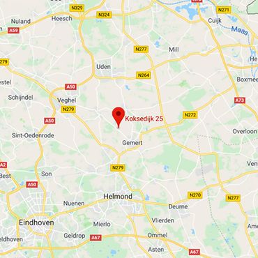 Huiszwaluwkolonie Noord-Brabant