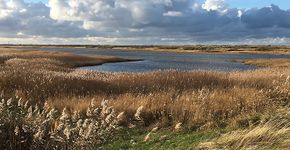 Vlieland / Anne-Lieke Struijk