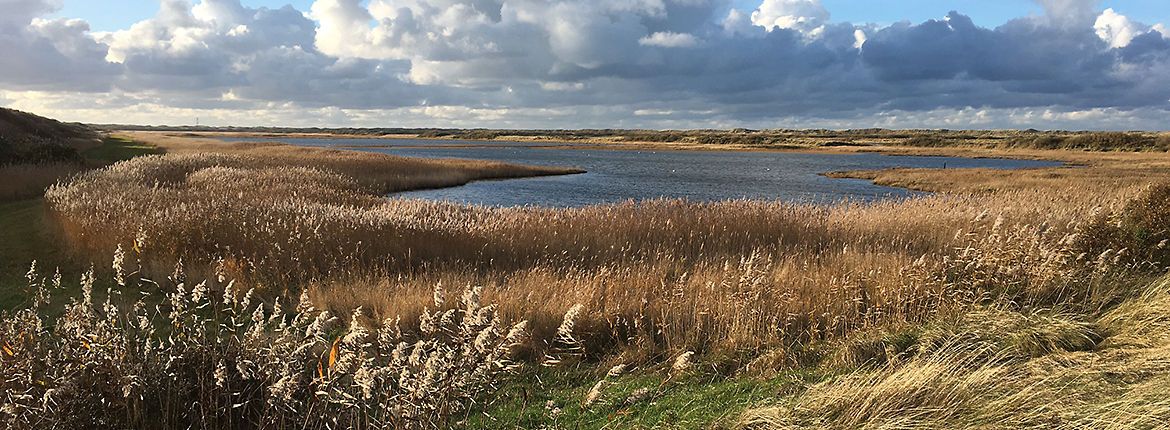 Vlieland / Anne-Lieke Struijk