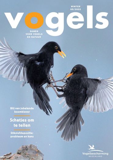 Cover Vogels 22-5