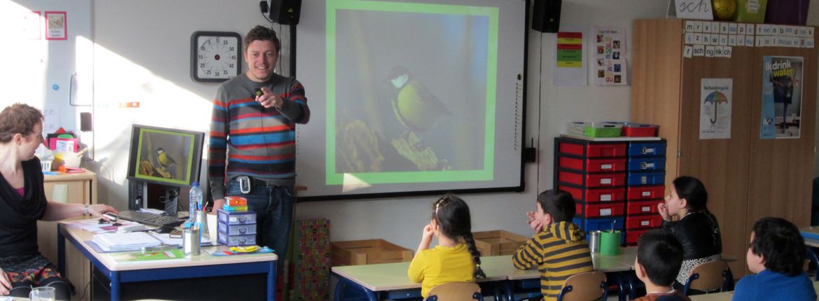 Stadsvogels in Zaanstreek