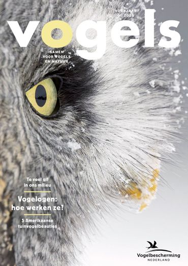 Cover Vogels 1/2025