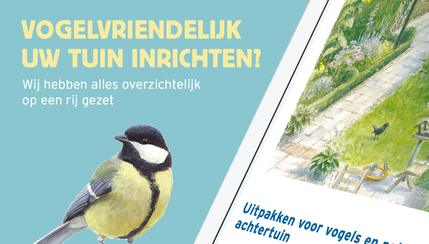 Nieuwe website