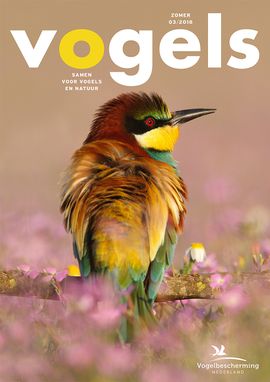 Tijdschrift Vogels