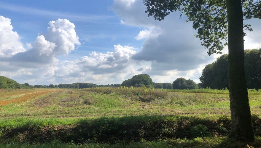 Velhorst - Foto: Kirsten Dorrestijn