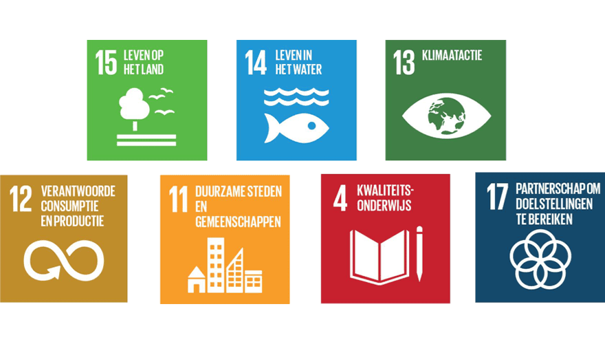 Sustainable Development Goals (SDG’s) van de VN 