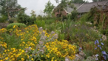 Tuin Anna Kemp / Jouke Altenburg