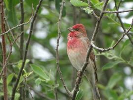 ''pleased to meet you''