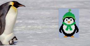 Pinguïn / Shutterstock