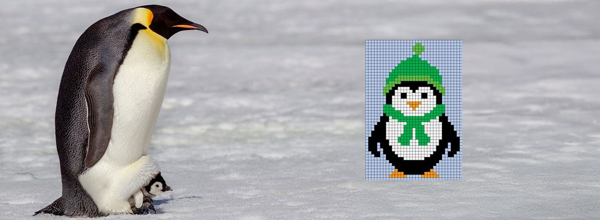 Pinguïn / Shutterstock