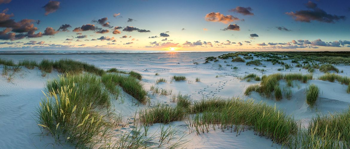 Schiermonnikoog / Johan van der Wielen