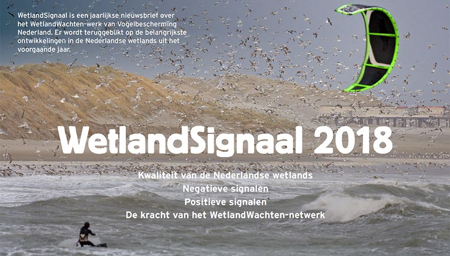 WetlandSignaal 2018