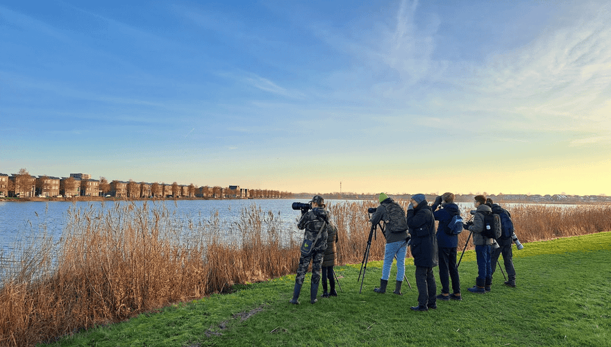Vogelexcursie Vogelwerkgroep Alkmaar en Omstreken