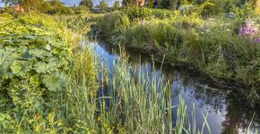 Stadsnatuur in Soest / Shutterstock