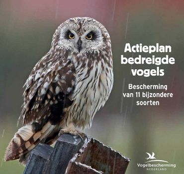 Cover Actieplan bedreigde vogels