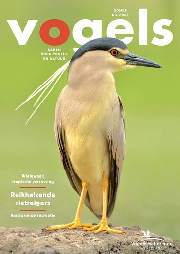 Cover Vogels nr. 03/2022