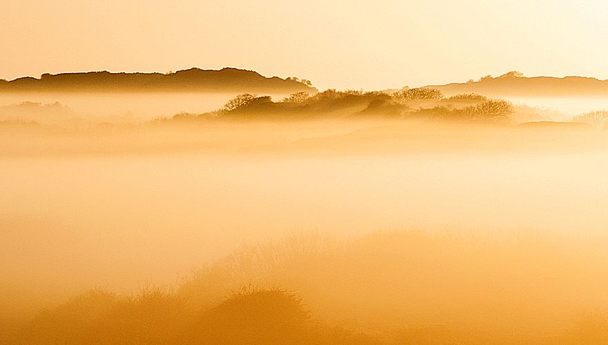 Duinen bij Katwijk / Marc Guyt - Agami