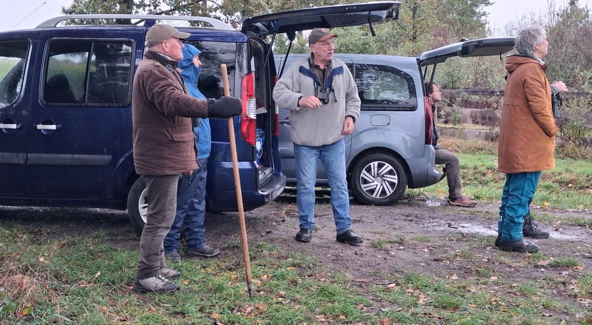 Tellint Tilburg / Oisterwijk, Boxtel, Oirschot, Liempde / Rinus Sterken